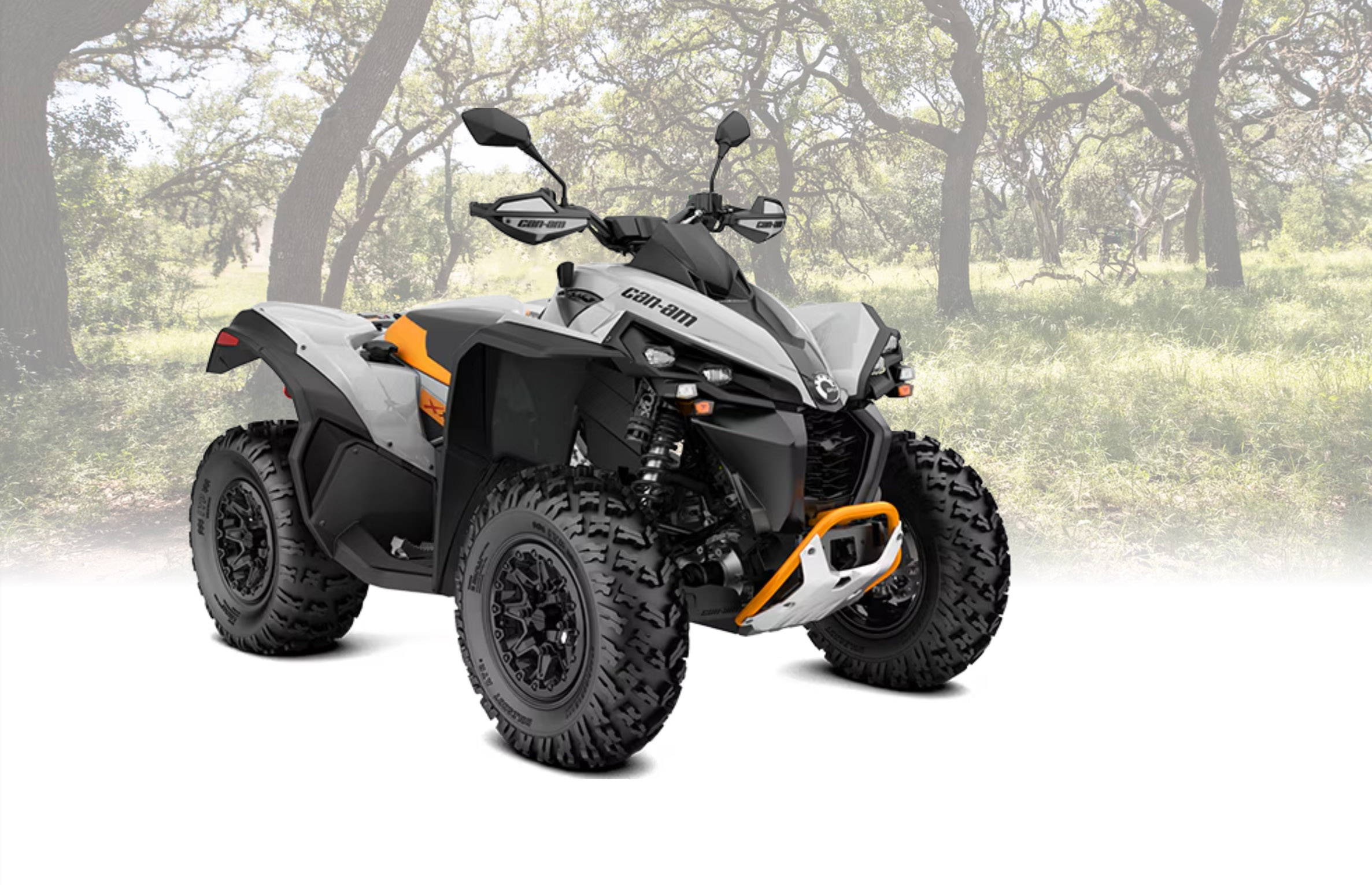 RENEGADE CAN-AM LIMOGES